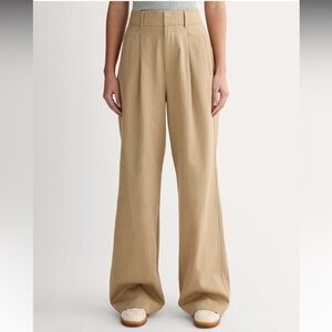 Everlane Womens 14 R The Draper Pleated Wide Leg Chino Pants Ash Brown High Rise